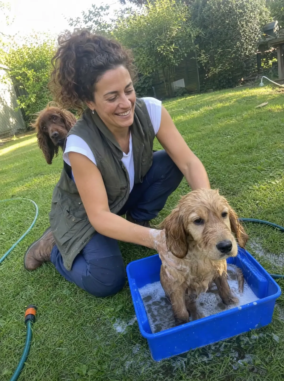 Ogni quanto lavare il cane (senza esagerare)